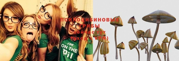 ГАЛЛЮЦИНОГЕННЫЕ ГРИБЫ Абдулино