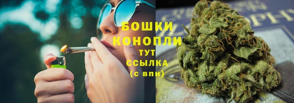 ГАЛЛЮЦИНОГЕННЫЕ ГРИБЫ Абдулино