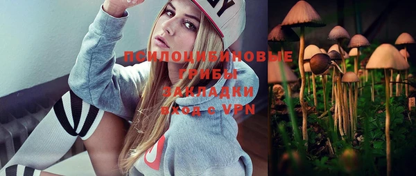 ешки Абаза