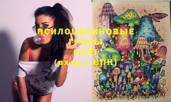 ГАЛЛЮЦИНОГЕННЫЕ ГРИБЫ Абдулино